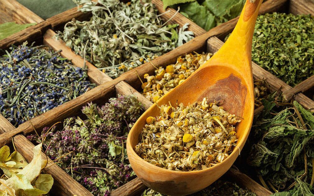 dry herbs for parasites in the body